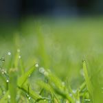 医学部を受験するべく期間別の勉強計画の立て方。