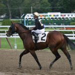 初心者でも安心して楽しめる！？競馬の予想や馬券の買い方